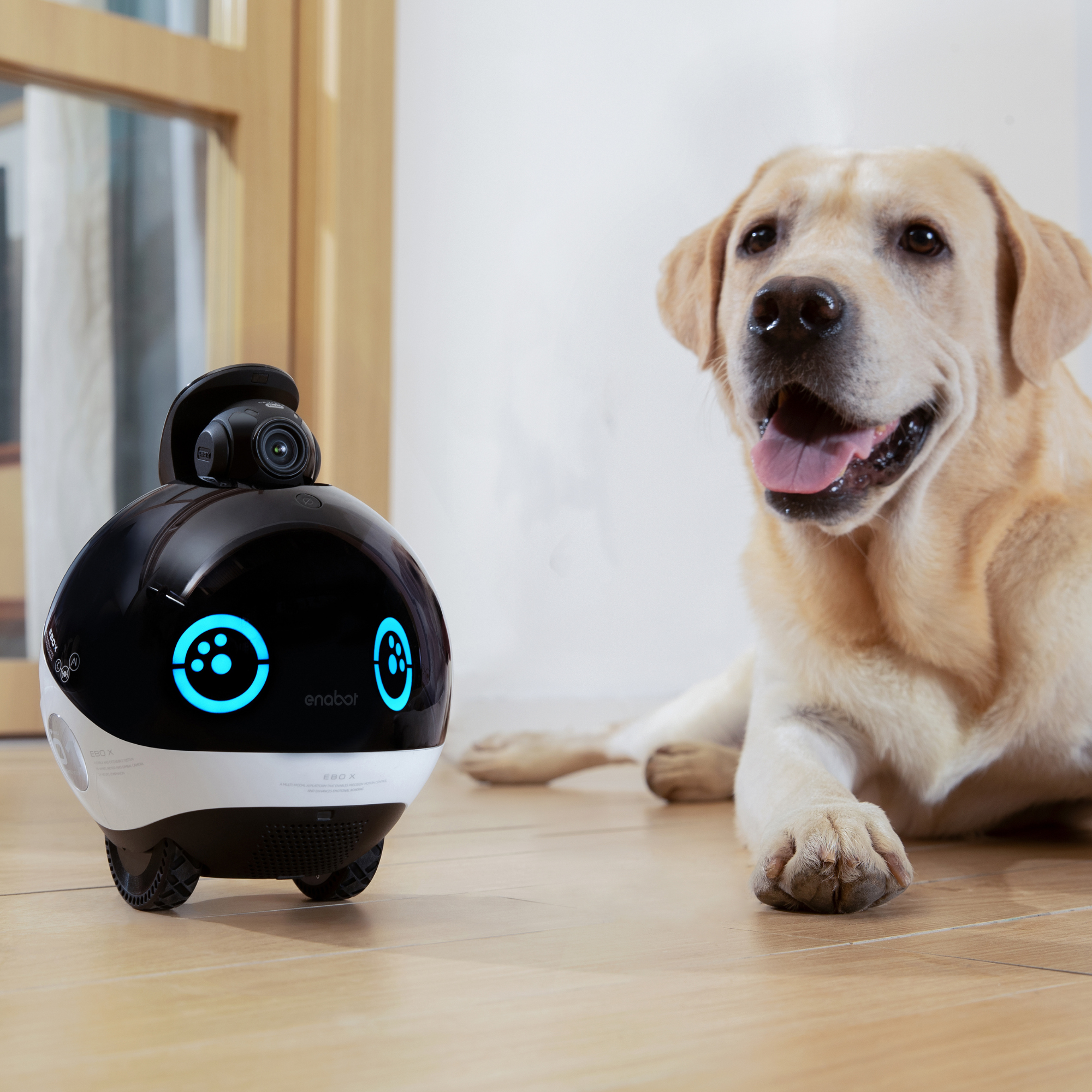 Camara Robot Smart Con Ia 4k Wifi