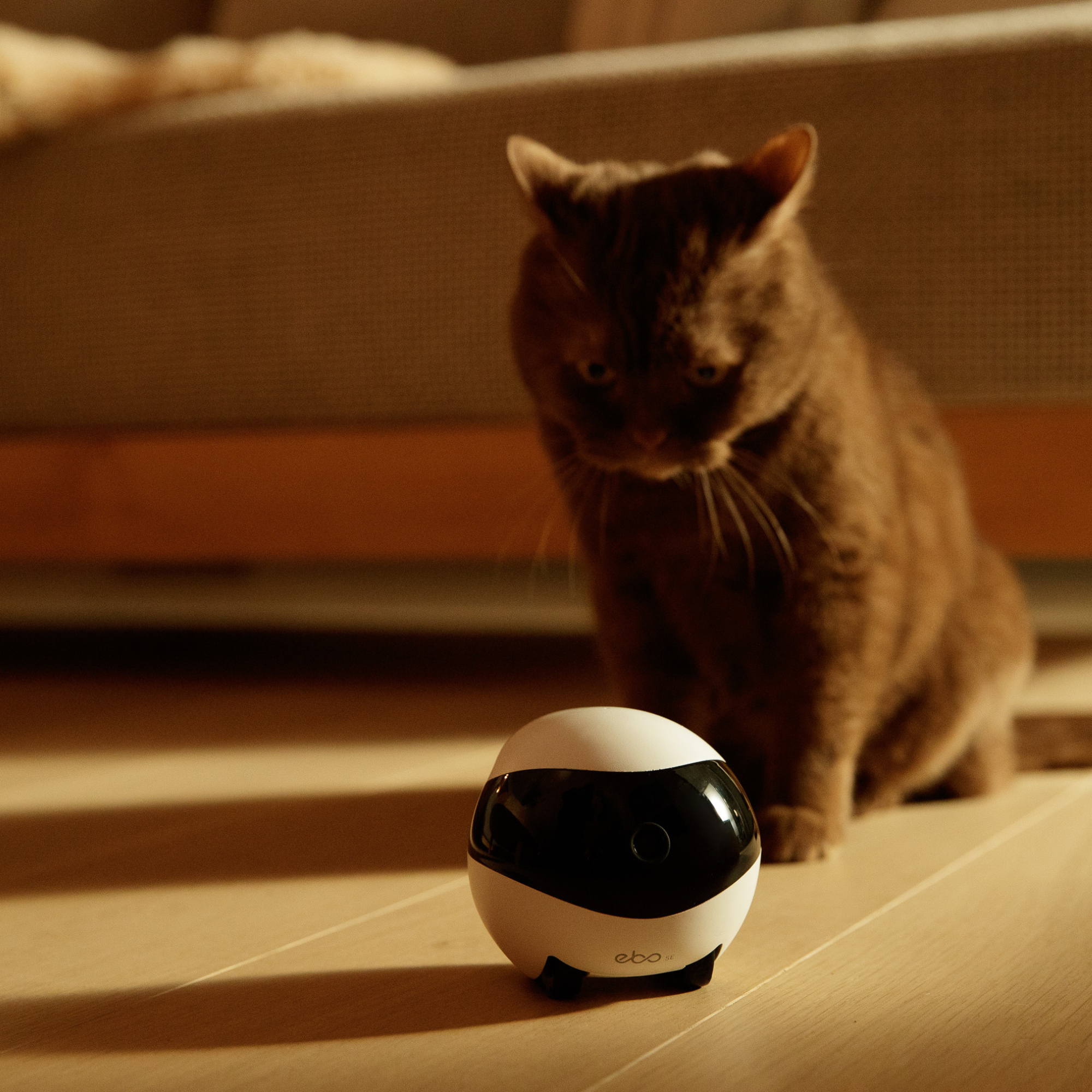 Robot Camara Movil Smart Para El Hogar